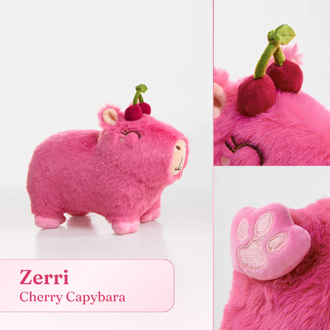 Cherry Capybara Plushie 🍒 - Image 12