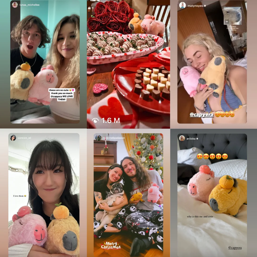 Lucky Cat Capybara Plushie 🧧 - Image 9