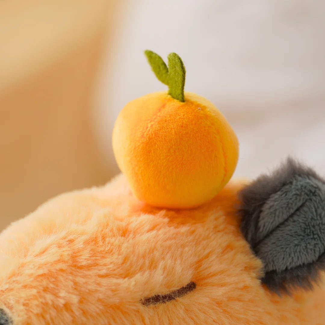 Orange Capybara - Duo Bundle 🍊 - Image 5