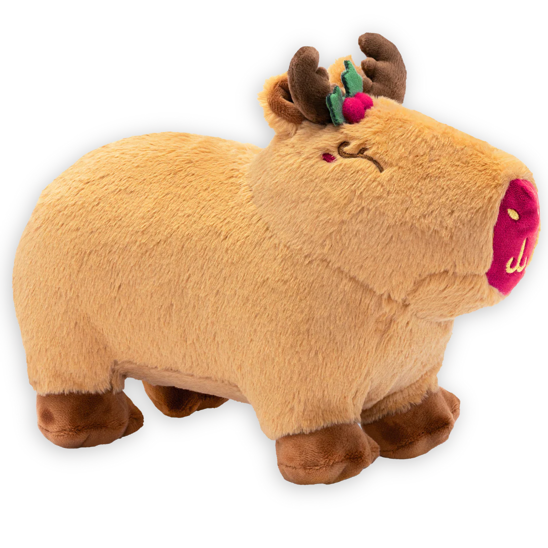 10" Capybara Plushie - Image 4